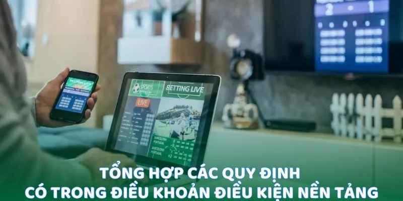 Tổng hợp các quy định có trong điều khoản điều kiện nền tảng