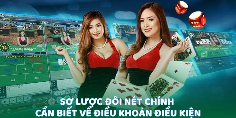 Sơ lược đôi nét chính cần biết về điều khoản điều kiện