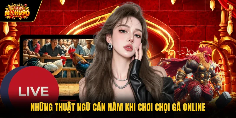 Những thuật ngữ cần nắm khi chơi chọi gà online