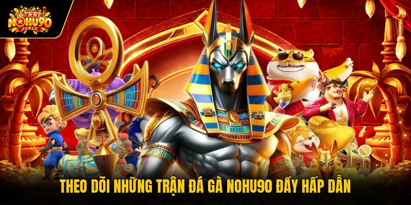 Theo dõi những trận đá gà Nohu90 đầy hấp dẫn